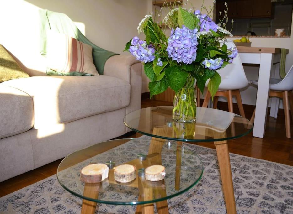 Apartment Explora A Pie